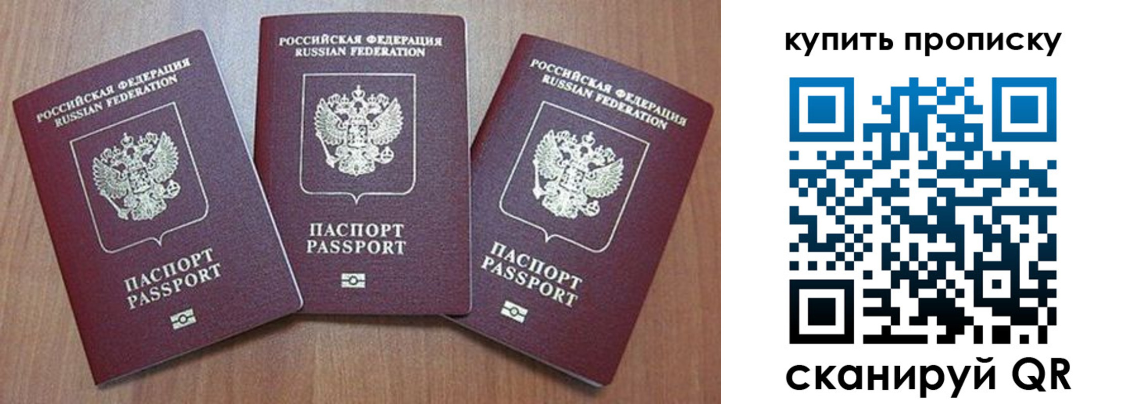 где прописаться в Гатчине